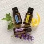 Conjunto introdutório grande de óleos essenciais doTERRA - 15 ml