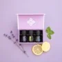 Conjunto introdutório de óleos essenciais doTERRA - 5 ml (Pack económico de 6 conjuntos)