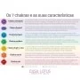 Conjunto de almofadas de meditação - 7 chakras