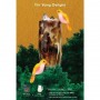 Chá em lata Yin Yang Or Tea?