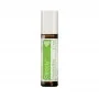 Blend terapêutico Steady (Mistura de Enraizamento) doTERRA Roll-on - 10 ml