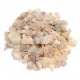 Resina natural de Frankincense (Olíbano) - carvão incluído