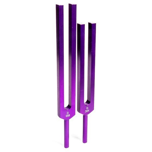 Conjunto de Diapasão para todo o corpo (Universal Tuning Fork) 256 Hz and 384 Hz - Roxo