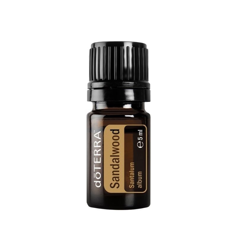 Óleo essencial de Sândalo Branco Selvagem (S. album) doTERRA - 5 ml