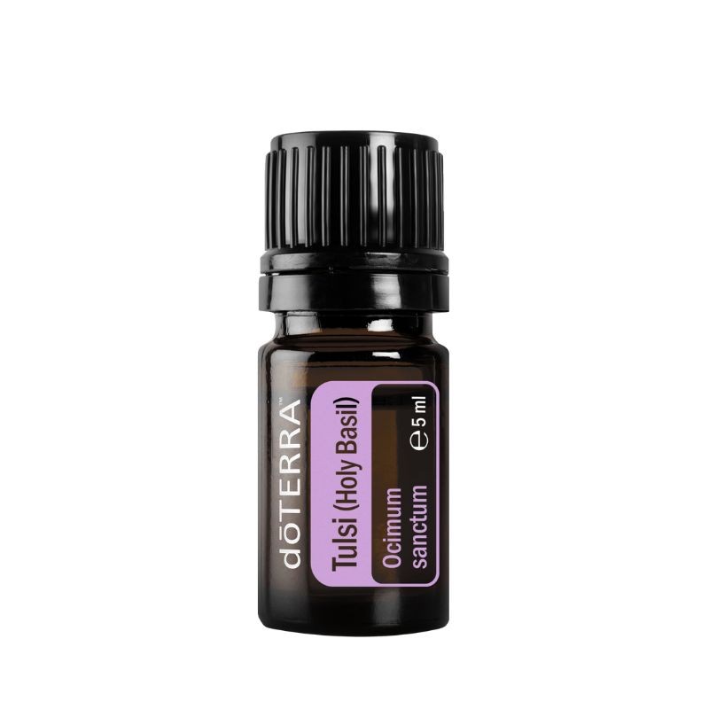 Óleo essencial biológico de Tulsi Manjericão Sagrado (Ocimum sanctum) doTERRA - 5 ml