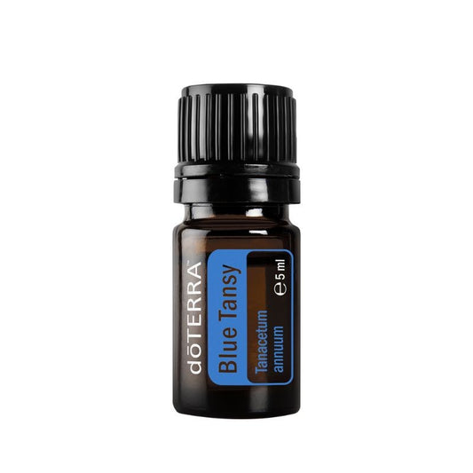 Óleo essencial biológico de Tanaceto Azul Blue Tansy (Tanacetum annuum) doTERRA - 5 ml